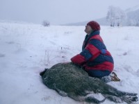 След зверя (2017)