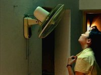 Натюрморт (2006)