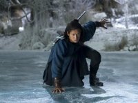 Крадущийся тигр, затаившийся дракон: Меч судьбы (2016)