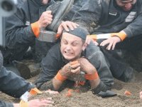 Новая Земля (2008)