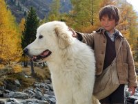 Белль и Себастьян (2013)